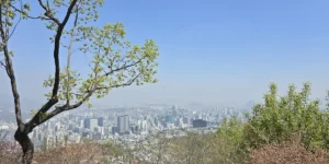 [수도권] 수도권 15분 재탑승 기본운임 면제 2026, 출퇴근 시간 단축 꿀팁 총정리