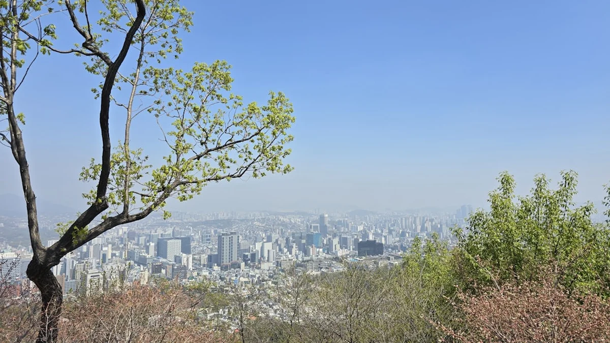 수도권 - 복잡한 전철 노선도