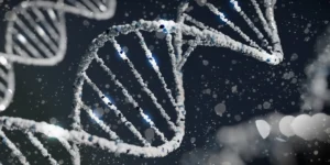 생명공학 AI 2026년 플랫폼 도입 비용과 효율성 비교