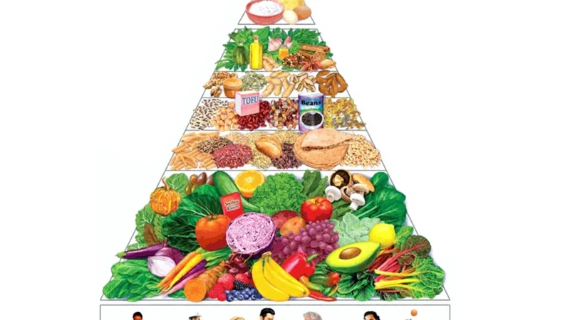 코큐텐 영양제 - 항산화 효과 그림